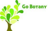 Picture 0 for Go Botany!